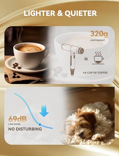 Seche Cheveux Professionnel 2400W Ionique 40 Millions D'ions Négatifs