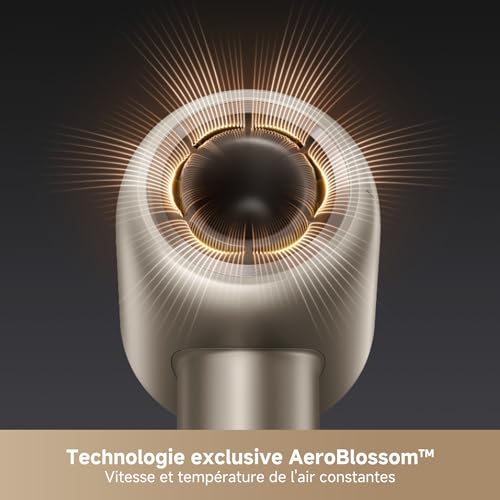Sèche cheveux Gama Professionnel 110000 tr/min AeroBlossom Plasma
