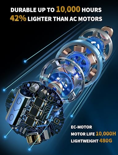 Sèche Cheveux Ionique Professionnel 2400W avec Diffuseur Brillance